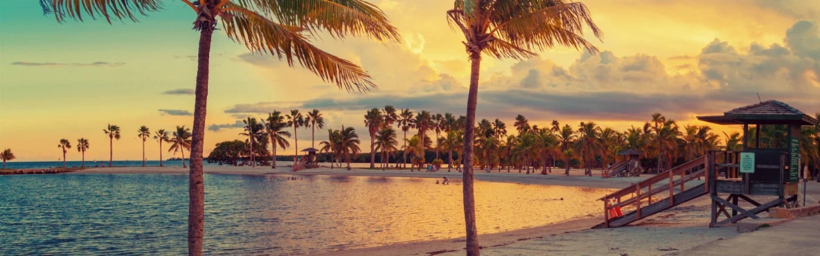 A Local’s Guide to Experiencing Miami Beach Like a Pro