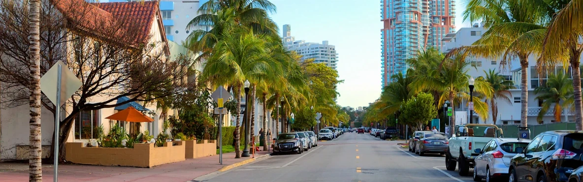 Nightlife on Collins Avenue: Dance, Drink & Dazzle
