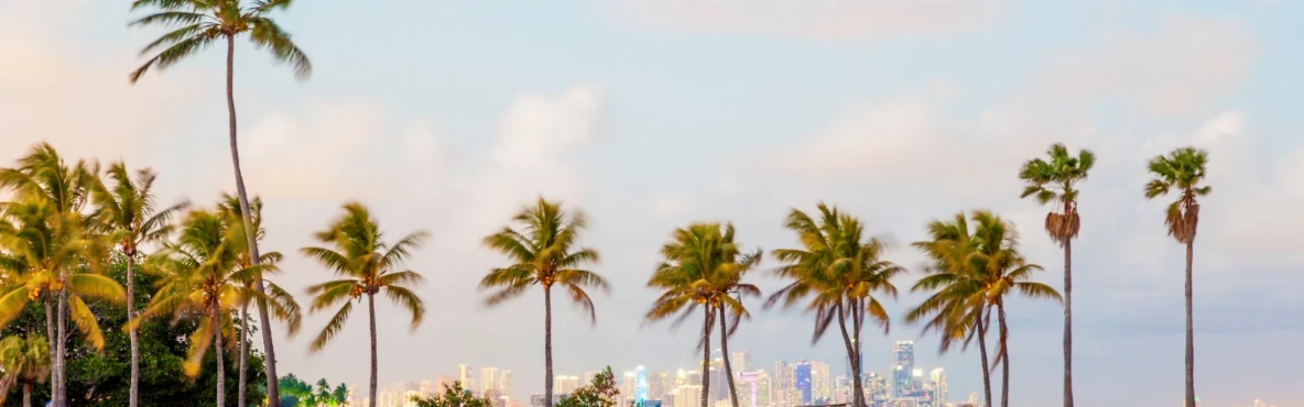 The Best Beaches in Miami Beach: From South Pointe to Surfside