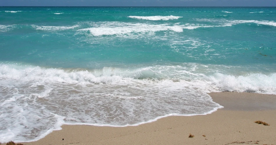 Pantai Terbaik di Miami Beach. Dari South Pointe ke Surfside